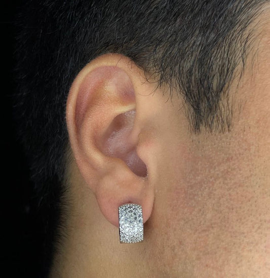 Argola Cravejada Prata NJR (G)